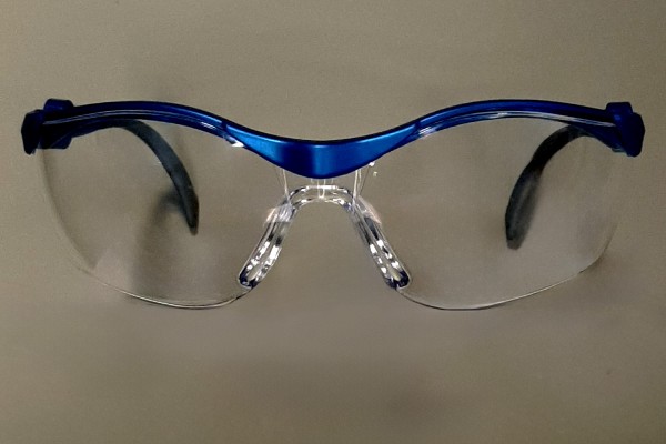Schutzbrille Pollux 620 farblos PC antibeschlag, Rahmen blau